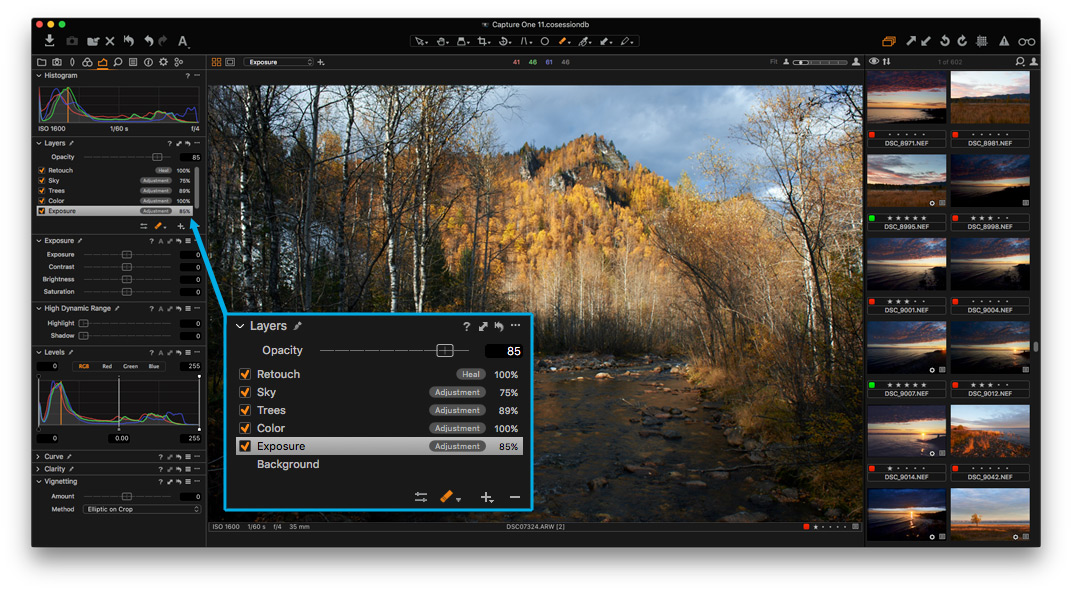 Capture One Pro screenshot 3